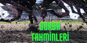 bursa