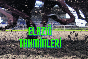 elazıgtahmin